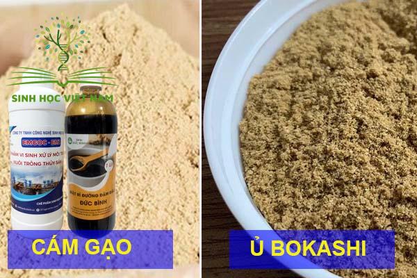 Cach u cam gao len men bokashi cho tom