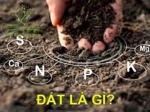 Đất là gì?