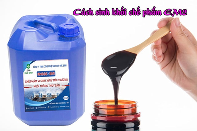 EM2 là chế phẩm loại thứ cấp có được nhờ sự sinh khối chế phẩm EM gốc với nước sạch và mật rỉ đường