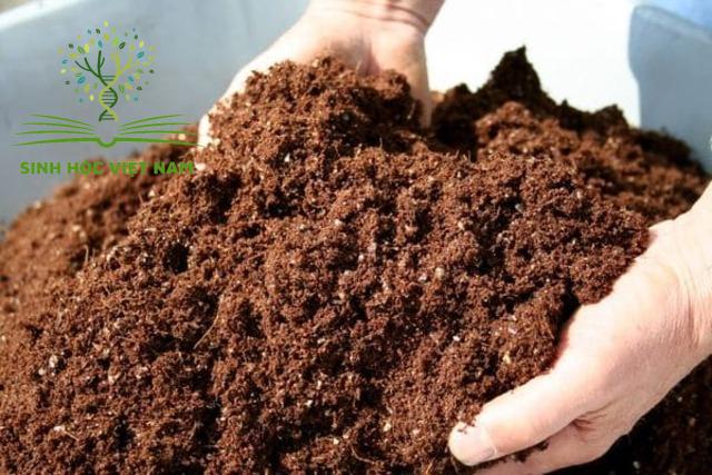 Vai trò của mùn, chất hữu cơ trong đất? Cách bổ sung chất hữu cơ 32 Mùn là dạng hợp chất hữu cơ đa phân tử có cấu tạo khá phức tạp