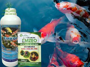 Vi sinh cho bể cá tốt nhất hiện nay