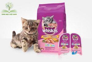 Ảnh 1: Phần lớn sản phẩm hạt Whiskas cho mèo con được sản xuất từ nhà máy tại Thái Lan