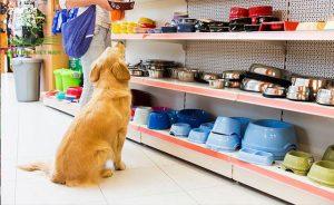 Ảnh 7: Mua sản phẩm phụ kiện thú cưng tại shop kinh doanh uy tín