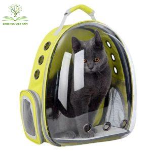 Balo phi hành gia đựng chó mèo trong suốt