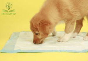 Lưu ý để chọn được sản phẩm phù hợp