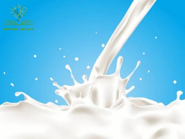 Sữa bột Bio được sản xuất với quy trình công nghệ khép kín, tân tiến và đảm bảo đạt chuẩn WHO GMP