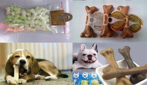 Những lưu ý khi chọn mua sản phẩm xương sữa canxi cho chó con