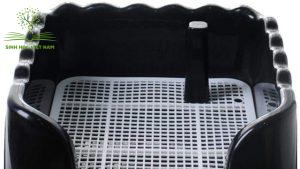 Thường xuyên vệ sinh khay sạch sẽ